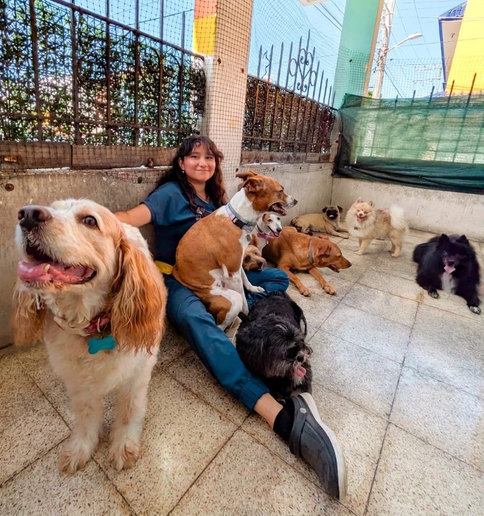Integrante del equipo sentada en el pasillo rodeada de ocho perritos